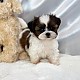 http://ssagae.dothome.co.kr/data/file/b0103/thumb-237143731_PEIbVUzm_52877a6bad48f91bbfda70af222f5491d358c8dc_80x80.jpg