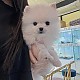 http://ssagae.dothome.co.kr/data/file/b0103/thumb-3547499953_ew4Sp3sd_a98434476f996acfac1208a8c6b7a228feb57a43_80x80.jpg