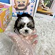 http://ssagae.dothome.co.kr/data/file/b0103/thumb-3739936228_GMn2LaVF_f162184101f3f89767a27e2137c888db1010f7e8_80x80.jpg