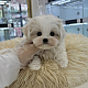 http://ssagae.dothome.co.kr/data/file/b0104/thumb-2105632234_Dz0j2Ruo_b51b686aef3acce94372ef10a2f619b2b2e26fab_80x80.png