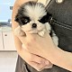 http://ssagae.dothome.co.kr/data/file/b0104/thumb-3739936228_2VtTgbrK_a296de7587e26943134fc545ac33cc7fb9ade26e_80x80.jpg