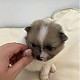 http://ssagae.dothome.co.kr/data/file/b0106/thumb-1930922657_40vCfWYL_4b5c4abaefbf1dd56c5063b250abc41d6132419e_80x80.jpg